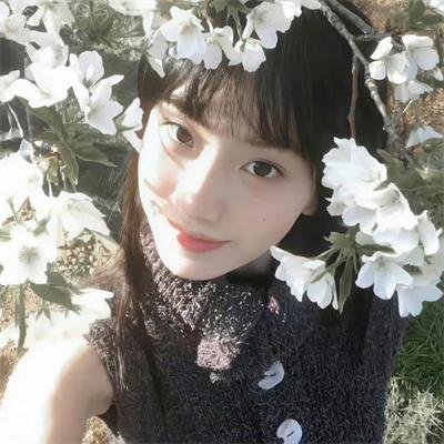 战地花开